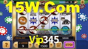 Premium Interface Vip345